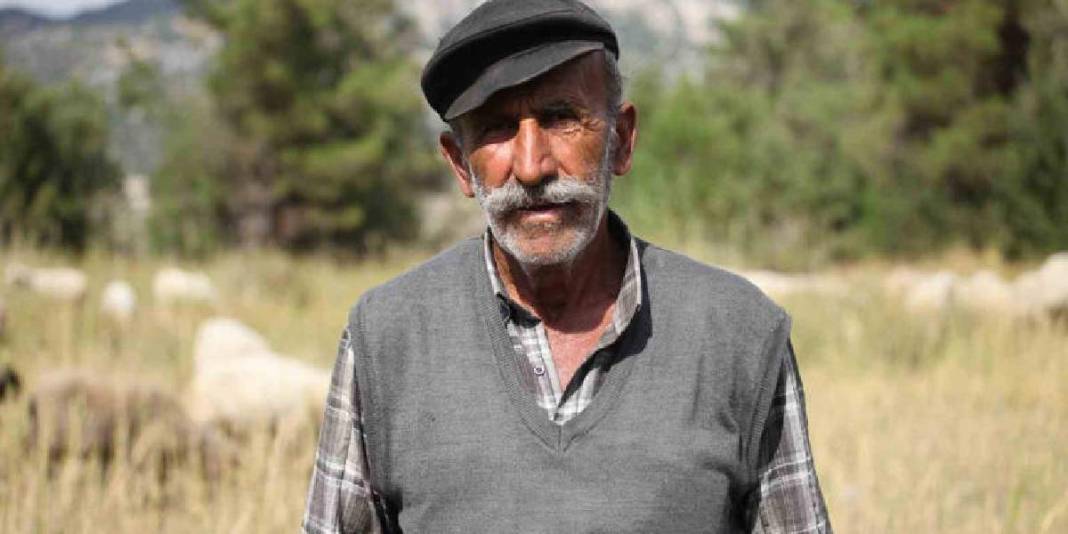 Yarım asırlık meslek aşkı! 50 yıldır dağların efendisi: Azmi hayran bırakıyor! 5